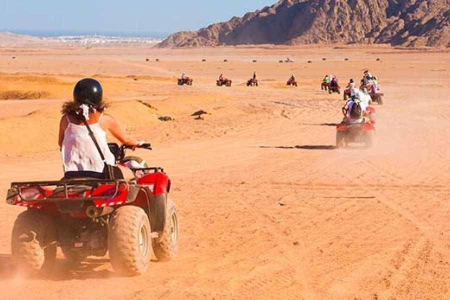 Quad fährt auf Sand bei Quad Safari Ausflug
